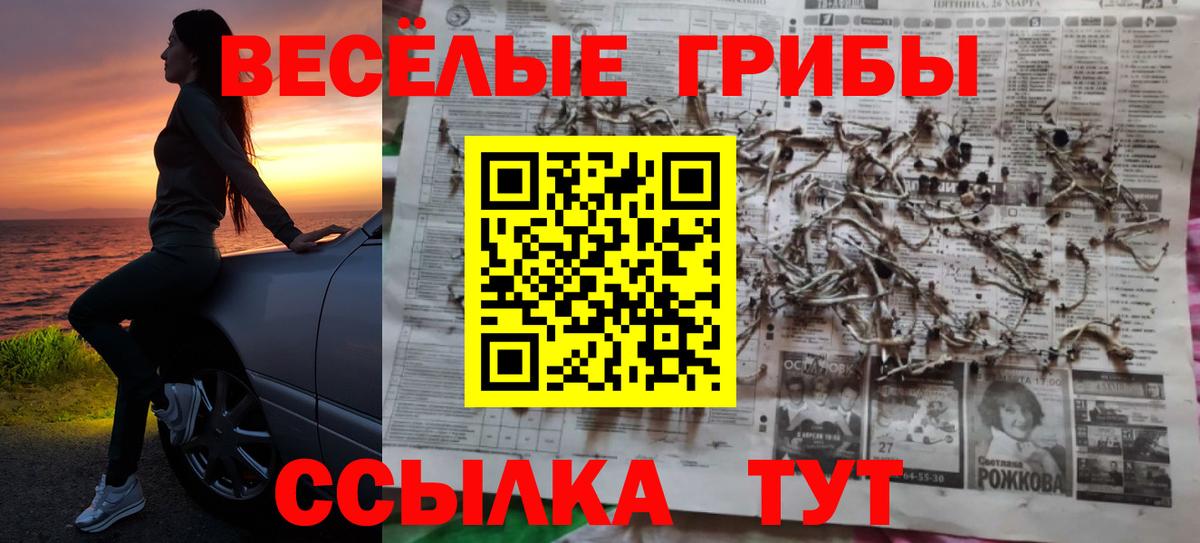Галлюциногенные грибы Psilocybe  Вход с VPN  Клин 